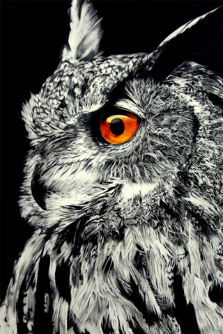 Beautiful Owl iPhone Wallpaper